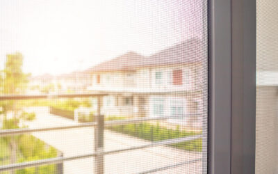 Pulizia zanzariere: come prepararsi all’inverno